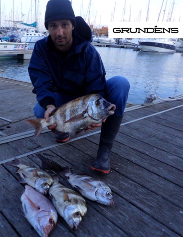 Algarve Dear Bream.jpg Algarve Dear Bream.jpg